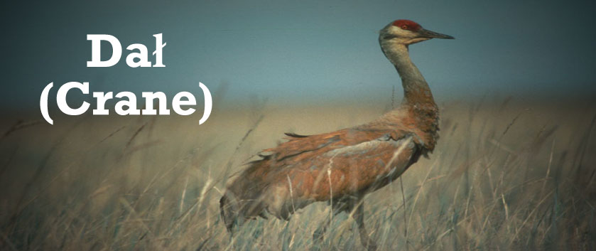 crane-homepage